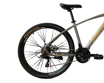 Bicicleta de Montaña Zigna Cobalt Rodada 26" Plateada